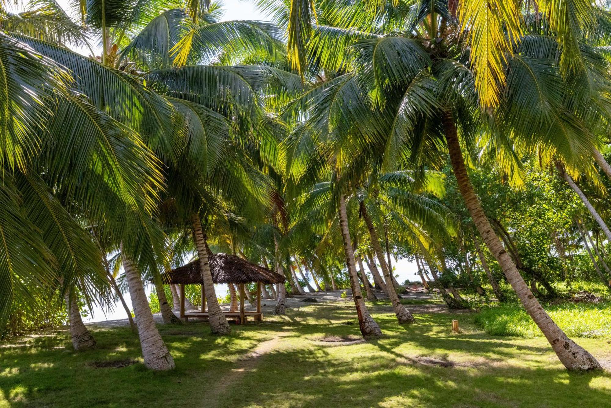 Aloita Resort Mentawai Tua Pejat Exterior photo